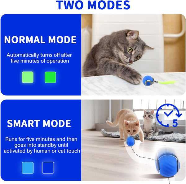 Speedy Tail 2.0