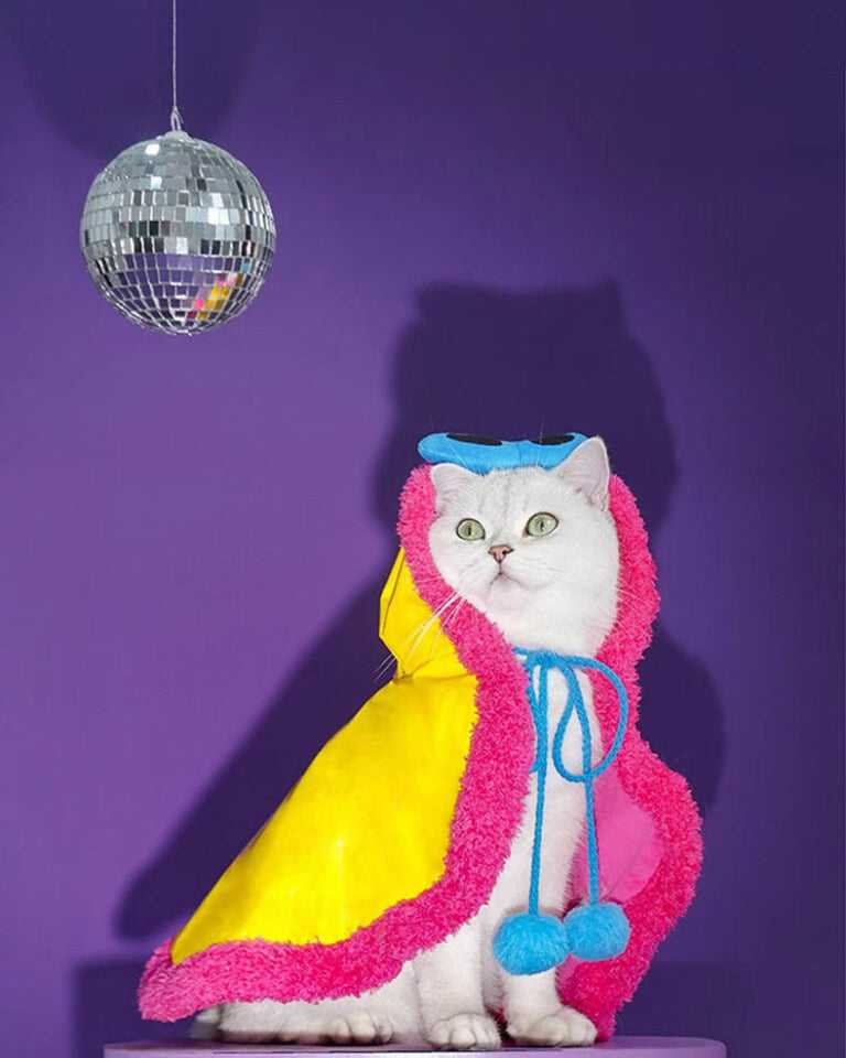 Superstar Cat Capes