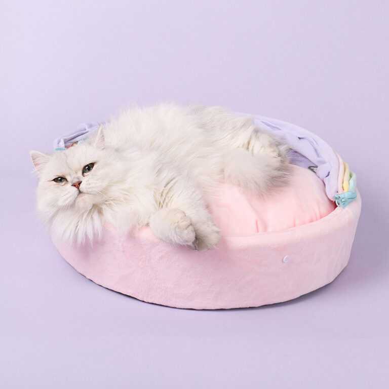 Rainbow Crib Cat Bed