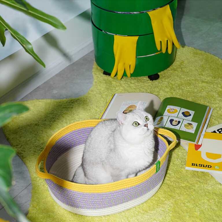 Woven Cat Bed