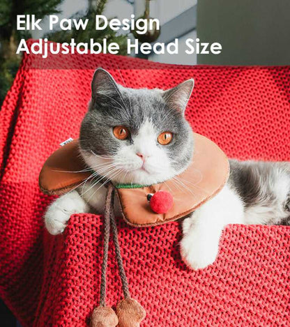 Gray cat in elk paw design reindeer collar from Gift Set Cat Christmas Costumes, lounging on red blanket near Christmas decor.