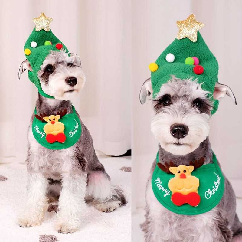 Christmas Tree Cat Hat.