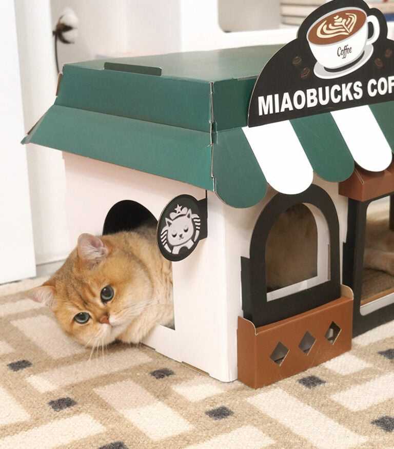 Cafe Cardboard Cat House