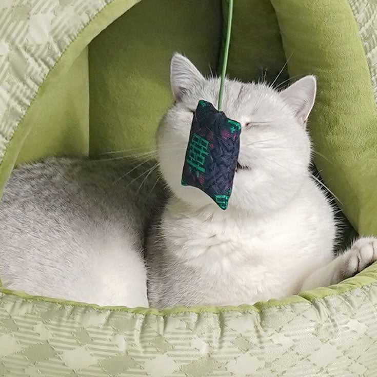 Cat playing with toy inside Green Pine Cave Cat Bed - Japanese Design, highlighting interactive and cozy pet furniture.