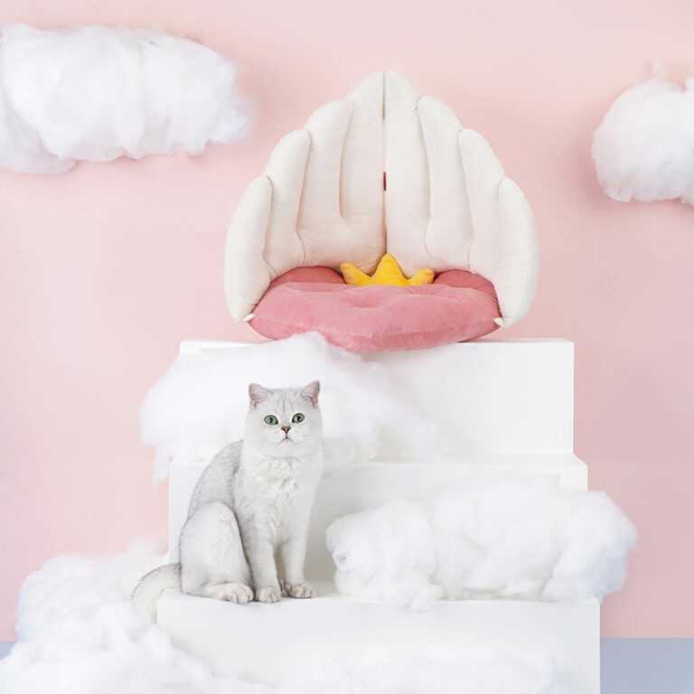 Angle Cat Bed