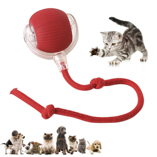 Chewie Pet Ball - Smart Interactive Toy in red with rope, ideal for cats and dogs. Promotes active play and pet engagement indoors.