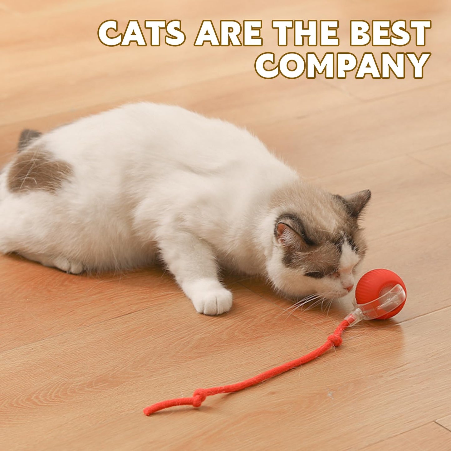 Cat playing with Chewie Pet Ball - Smart Interactive Toy in red. Designed to stimulate curiosity and activity in pets.