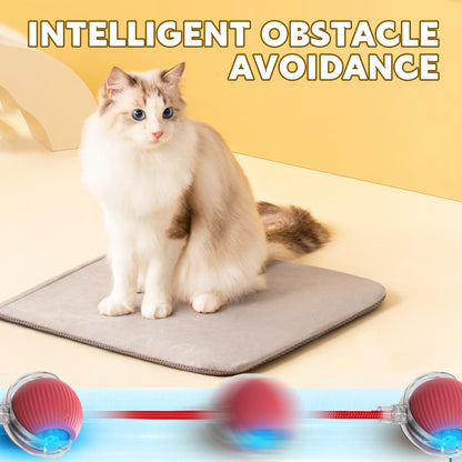 Chewie Pet Ball - Smart Interactive Toy with obstacle avoidance feature. Keeps pets entertained while navigating around objects.