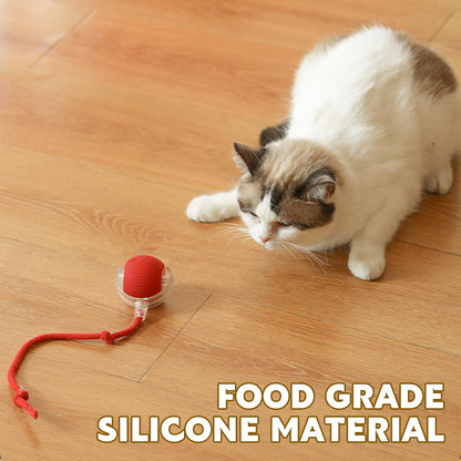 Chewie Pet Ball - Smart Interactive Toy made of food-grade silicone. Safe and durable for cats and dogs to play with.