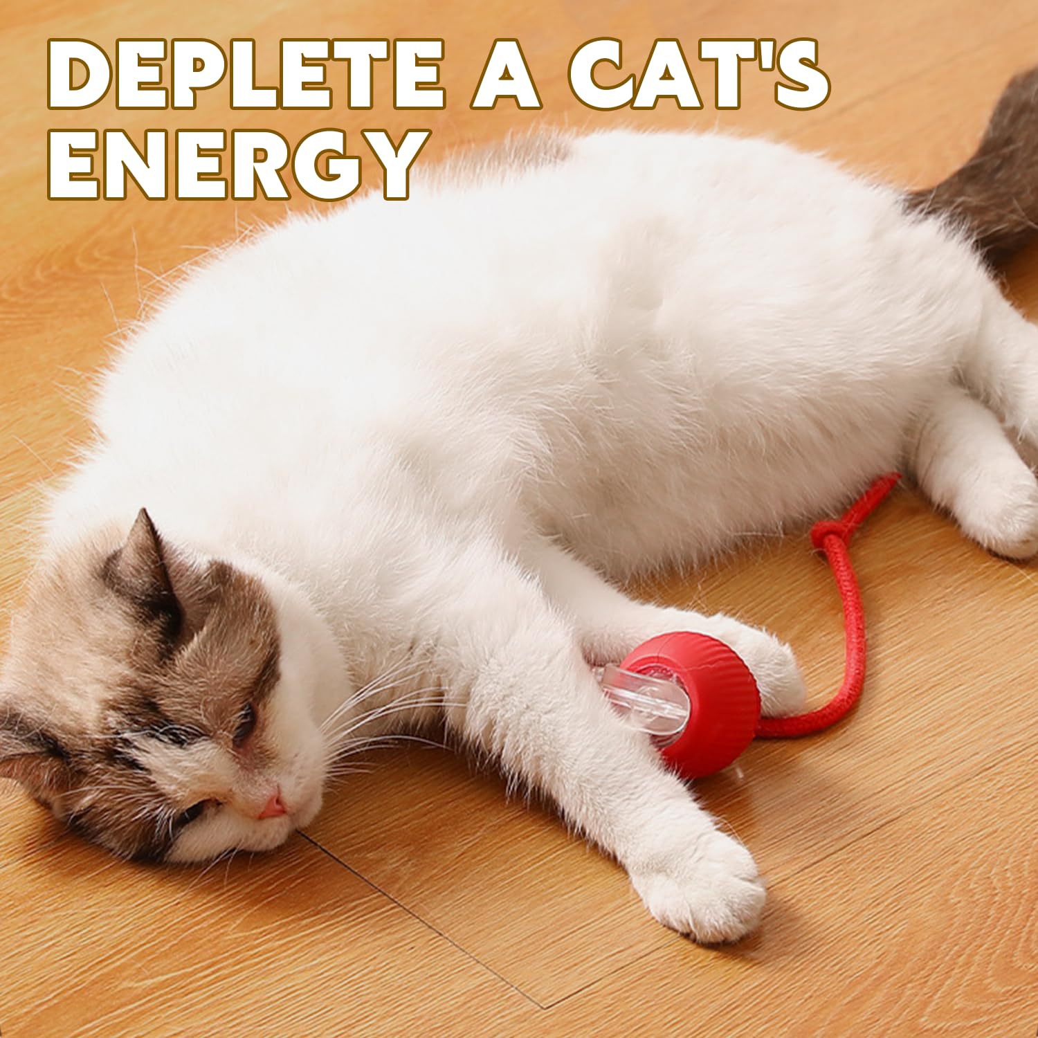 Cat resting after playing with Chewie Pet Ball - Smart Interactive Toy. Helps burn energy and reduce boredom in pets.