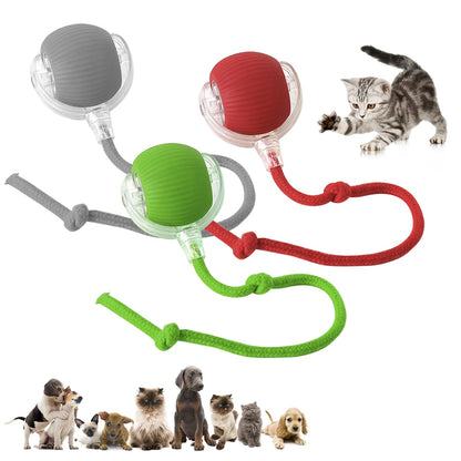 Set of Chewie Pet Balls - Smart Interactive Toys in red, green, and gray. Multi-color options for engaging pet play sessions.