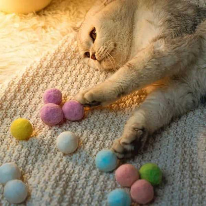 Rainbow Ball Launcher Toy for Cats.